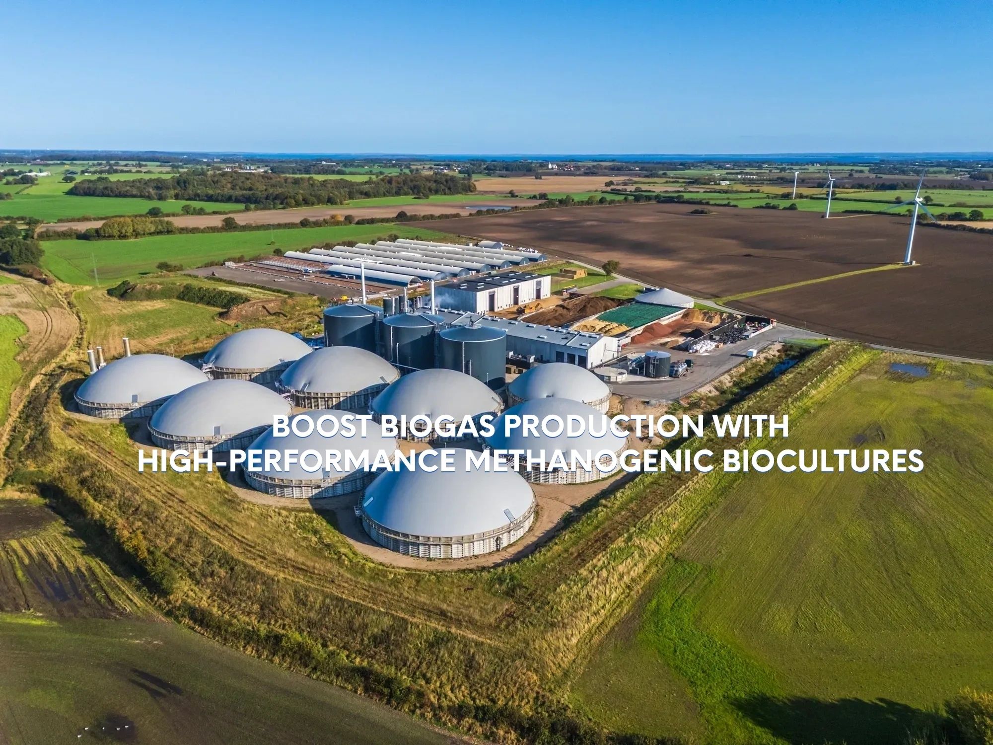 Anaerobic Bioculture Starter